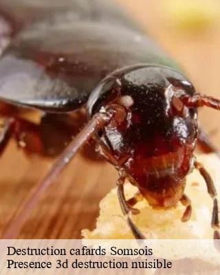 Destruction cafards somsois-51290 Presence 3d destruction nuisible