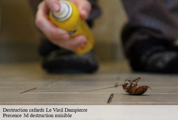 Destruction cafards le-vieil-dampierre-51330 Presence 3d destruction nuisible