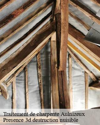 Traitement de charpente aulnizeux-51130 Presence 3d destruction nuisible