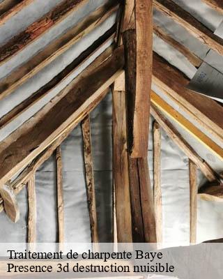 Traitement de charpente baye-51270 Presence 3d destruction nuisible
