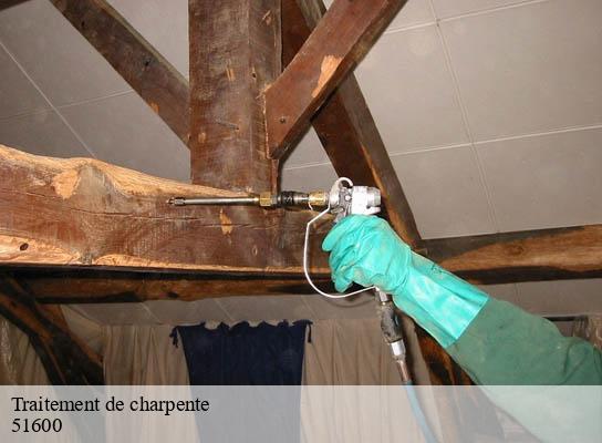 Traitement de charpente bussy-le-chateau-51600 Presence 3d destruction nuisible