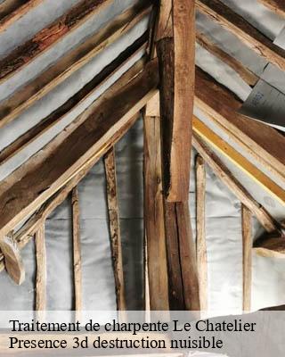 Traitement de charpente le-chatelier-51330 Presence 3d destruction nuisible