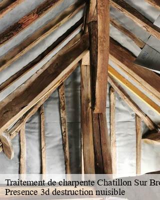 Traitement de charpente chatillon-sur-broue-51290 Presence 3d destruction nuisible