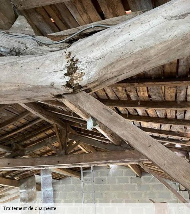 Traitement de charpente saint-amand-sur-fion-51300 Presence 3d destruction nuisible