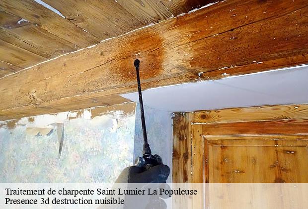 Traitement de charpente saint-lumier-la-populeuse-51340 Presence 3d destruction nuisible