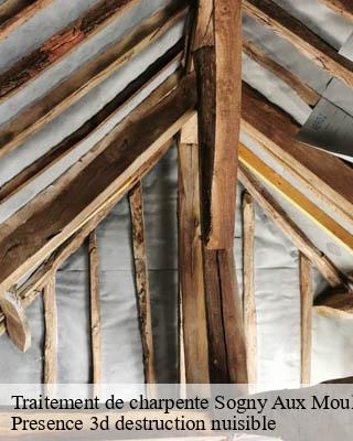 Traitement de charpente sogny-aux-moulins-51520 Presence 3d destruction nuisible